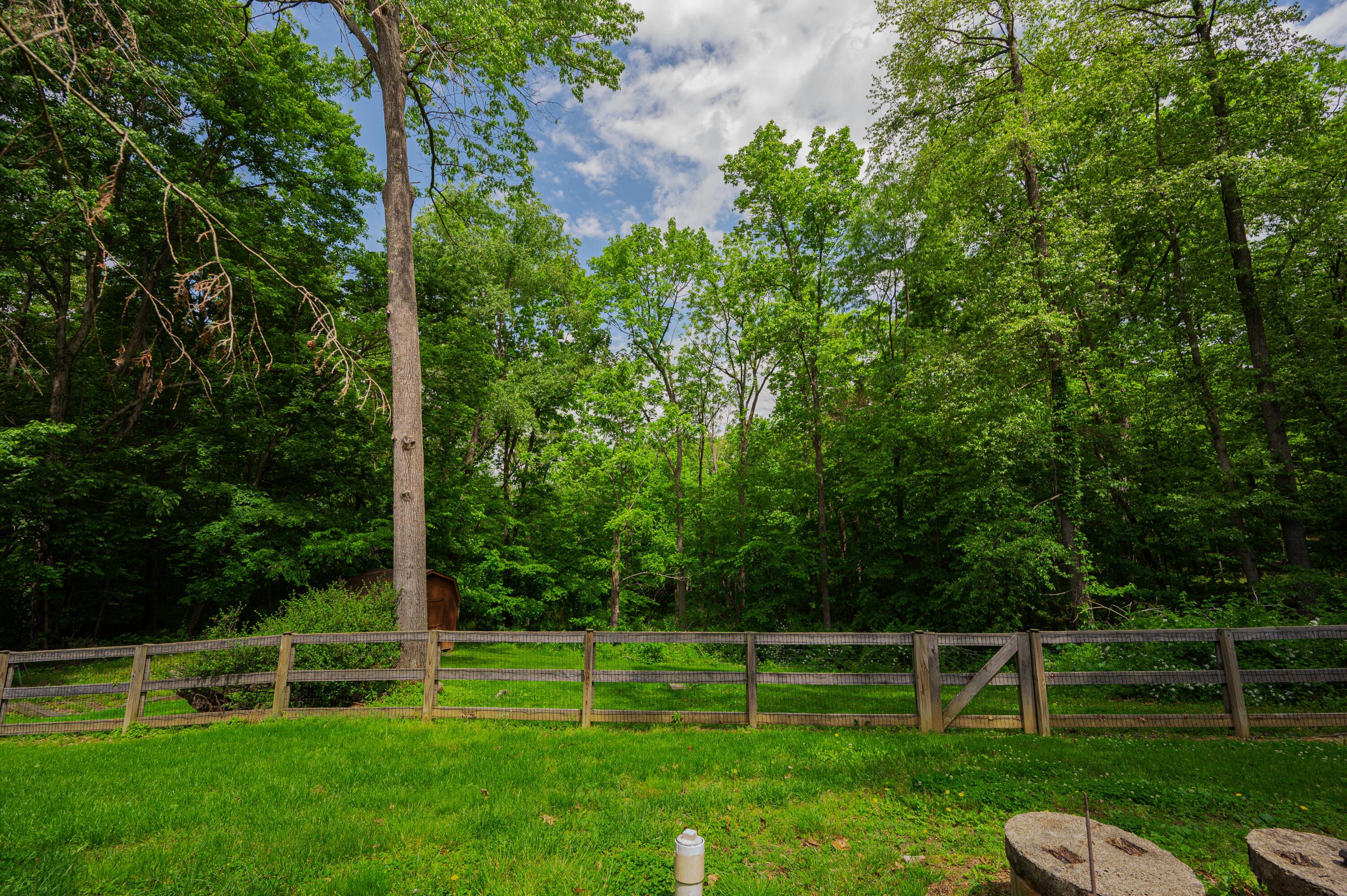 11557 Palmer Road Mount Perry, OH 43760 - Photo 55 of 68 Wooded Back Yard