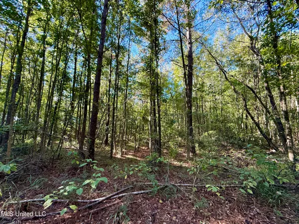 $115,000 | 47 Mose Hilliard Road, Sontag, MS 39665