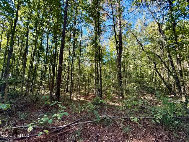 $119,500 | 47 Mose Hilliard Road, Sontag, MS 39665