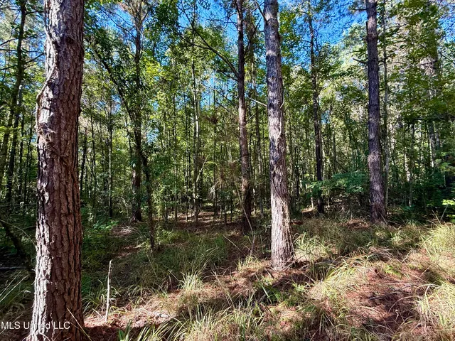 $119,500 | 47 Mose Hilliard Road, Sontag, MS 39665