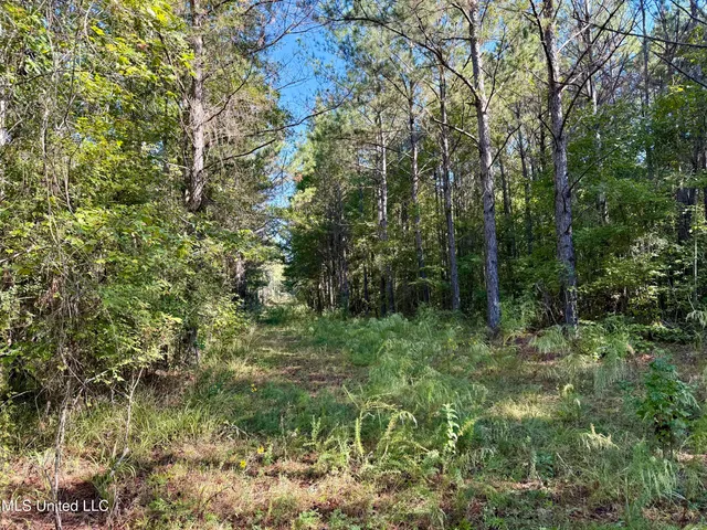 $119,500 | 47 Mose Hilliard Road, Sontag, MS 39665