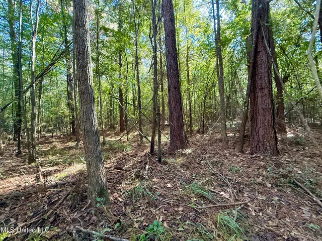 $119,500 | 47 Mose Hilliard Road, Sontag, MS 39665