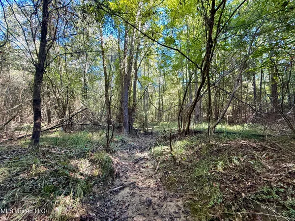 $115,000 | 47 Mose Hilliard Road, Sontag, MS 39665