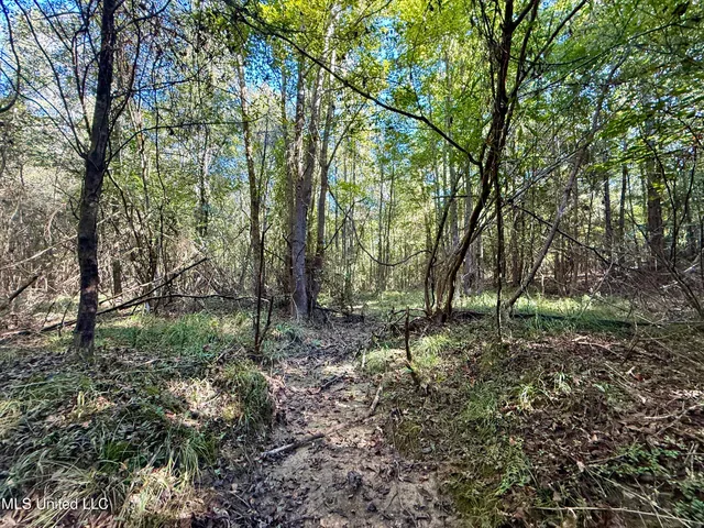 $119,500 | 47 Mose Hilliard Road, Sontag, MS 39665