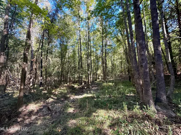 $115,000 | 47 Mose Hilliard Road, Sontag, MS 39665