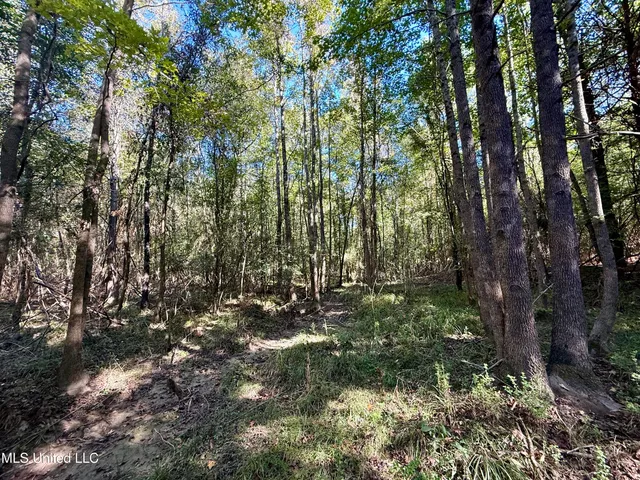 $119,500 | 47 Mose Hilliard Road, Sontag, MS 39665