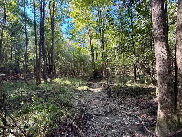 $119,500 | 47 Mose Hilliard Road, Sontag, MS 39665