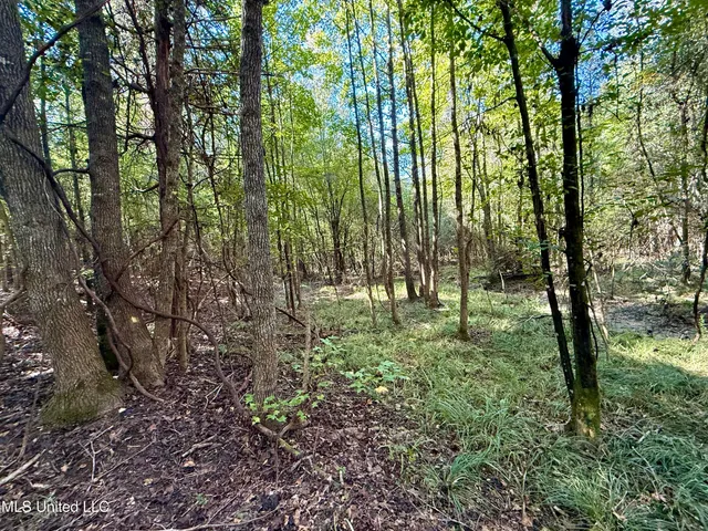 $119,500 | 47 Mose Hilliard Road, Sontag, MS 39665