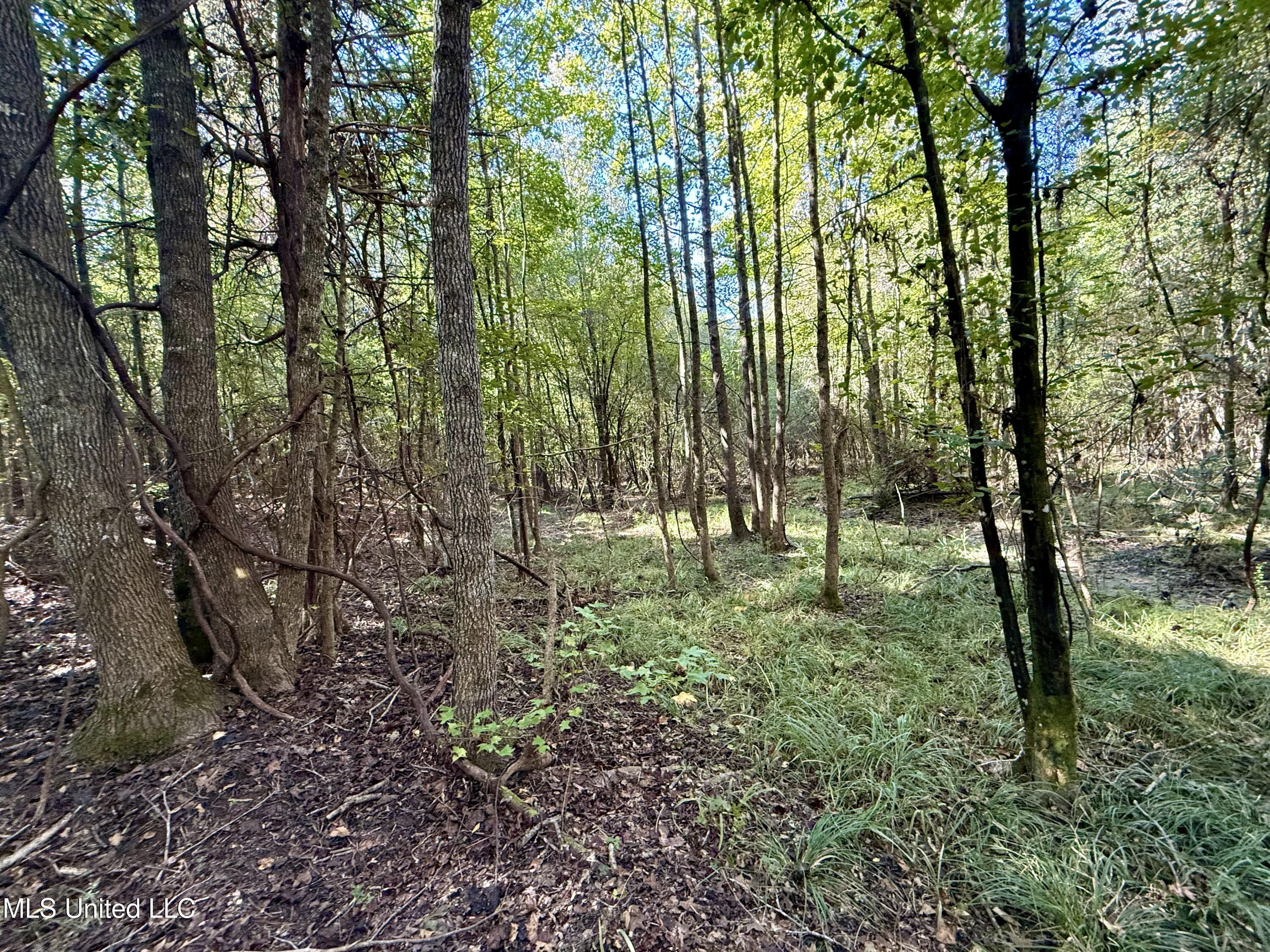 47 Mose Hilliard Road Sontag, MS 39665 - Photo 18 of 28 IMG_2103