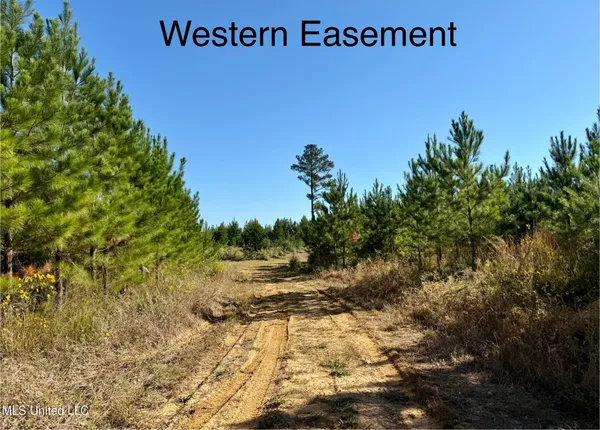 $115,000 | 47 Mose Hilliard Road, Sontag, MS 39665