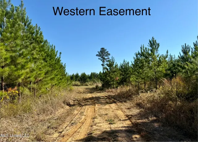 $119,500 | 47 Mose Hilliard Road, Sontag, MS 39665