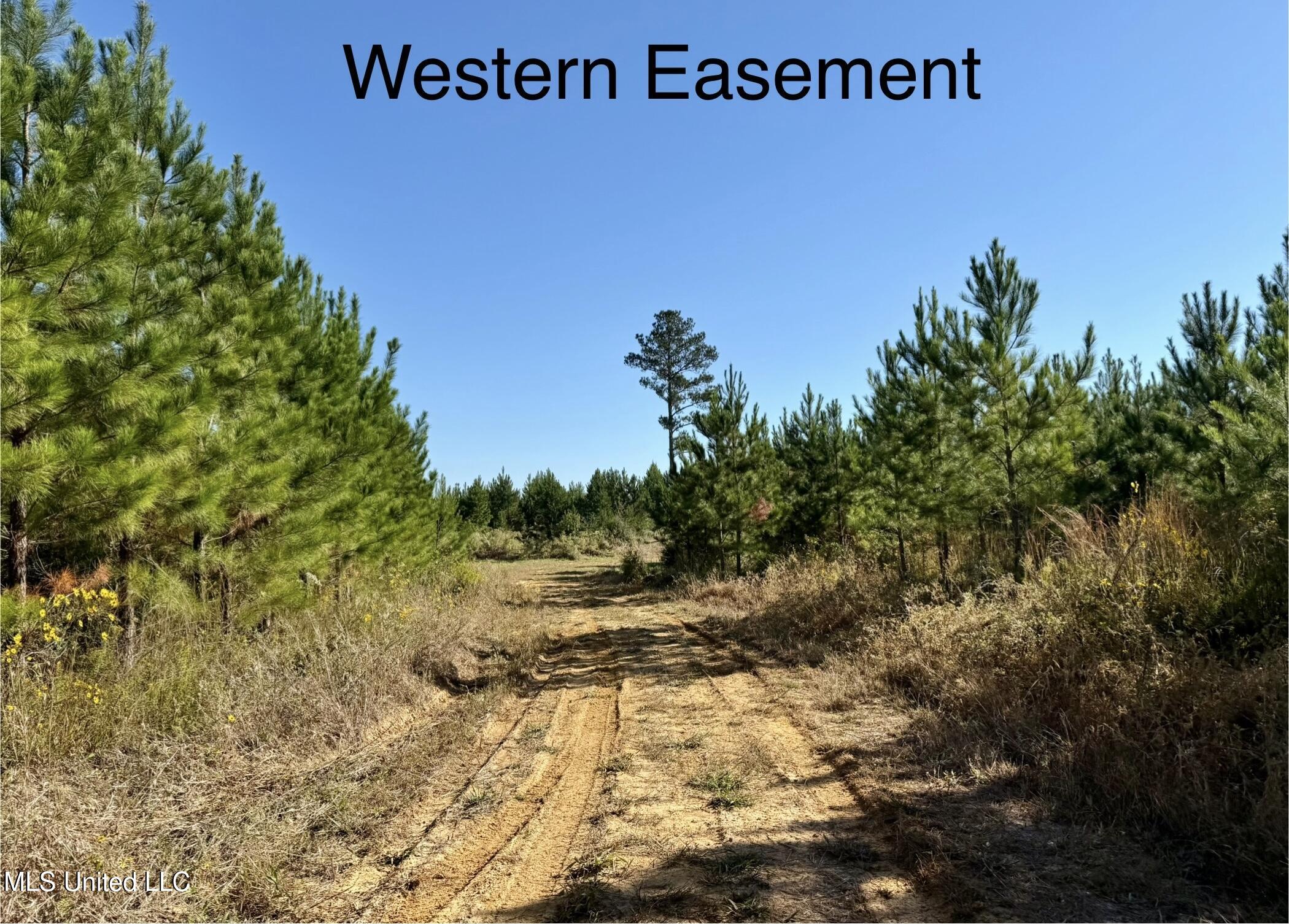 47 Mose Hilliard Road Sontag, MS 39665 - Photo 19 of 28 IMG_2092