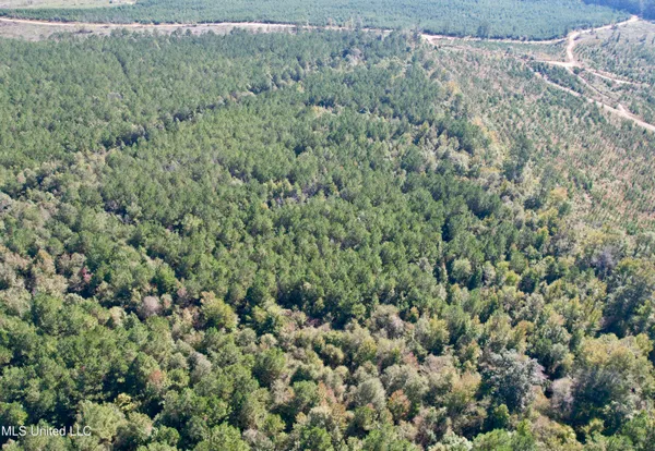 $115,000 | 47 Mose Hilliard Road, Sontag, MS 39665