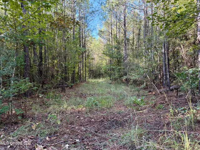 $119,500 | 47 Mose Hilliard Road, Sontag, MS 39665