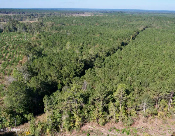$115,000 | 47 Mose Hilliard Road, Sontag, MS 39665