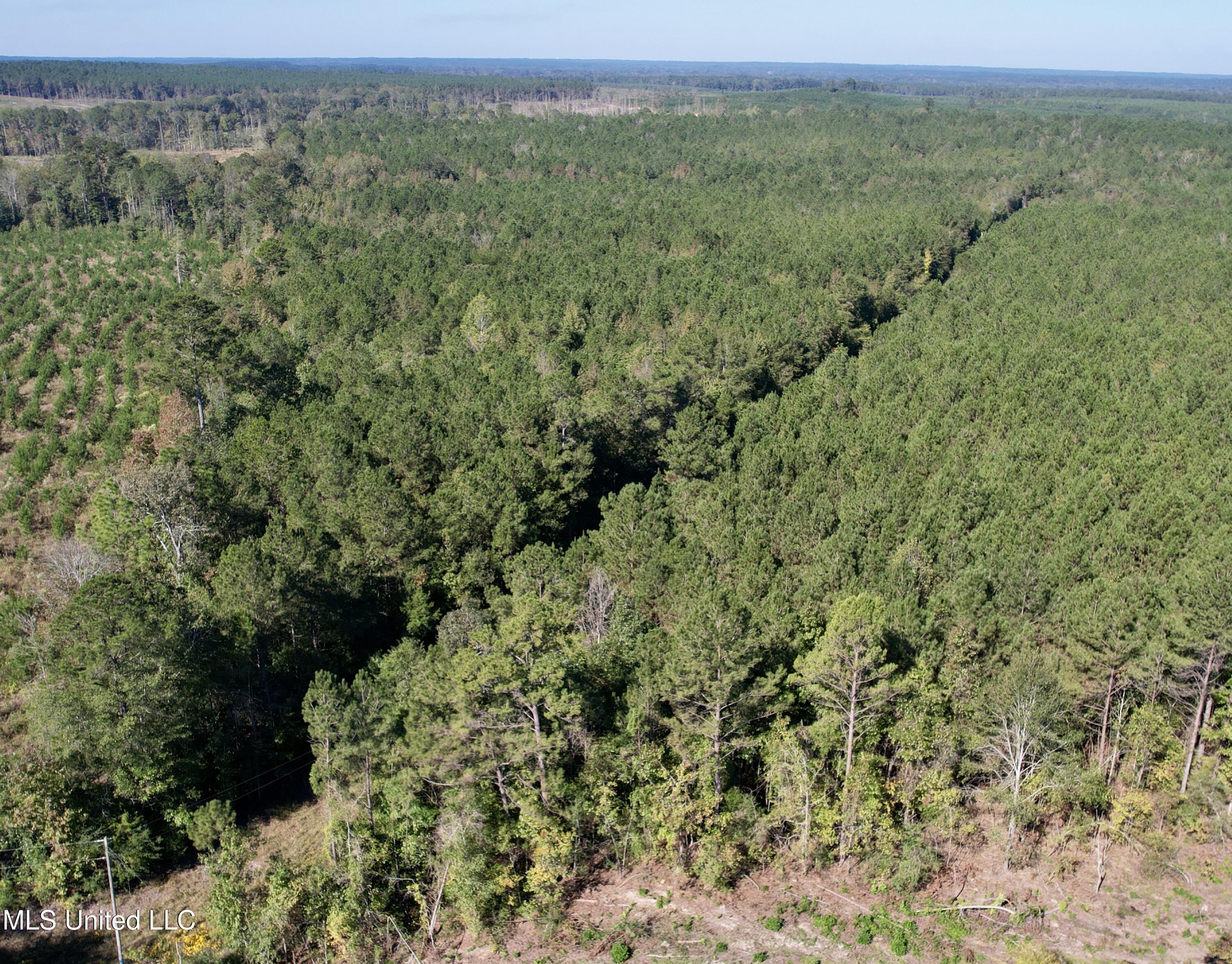 47 Mose Hilliard Road Sontag, MS 39665 - Photo 21 of 28 dji_fly_20251013_103802_260_176037052847
