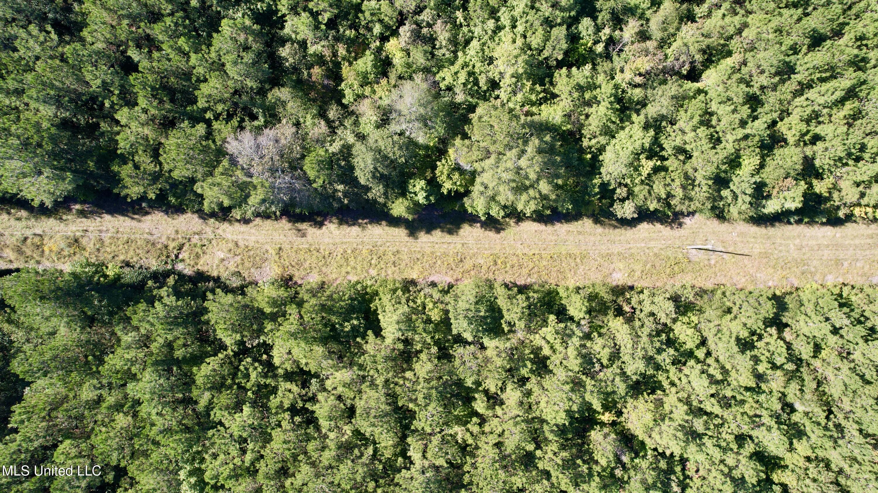 47 Mose Hilliard Road Sontag, MS 39665 - Photo 22 of 28 dji_fly_20251013_103820_261_176037052673