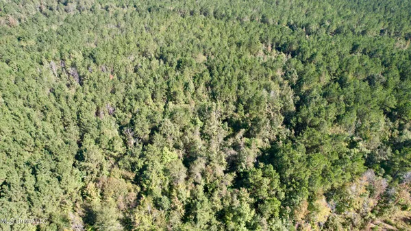 $115,000 | 47 Mose Hilliard Road, Sontag, MS 39665