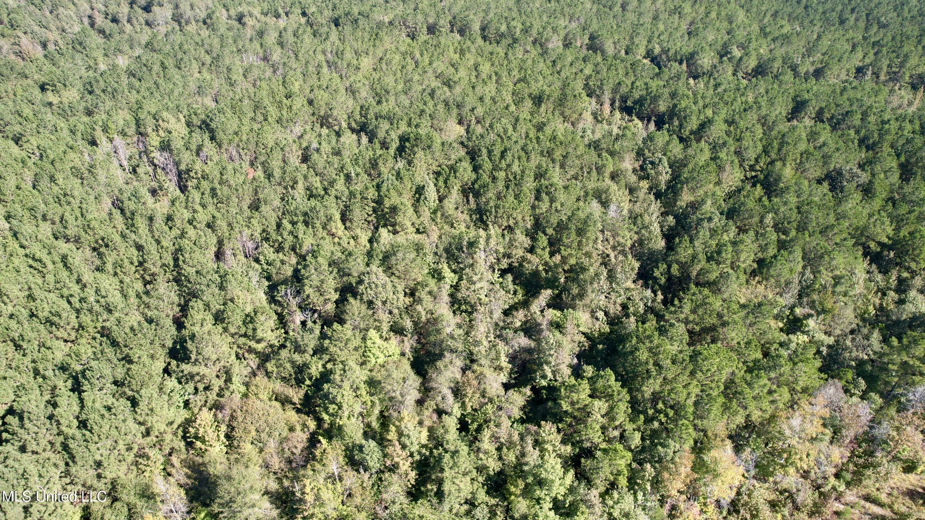 47 Mose Hilliard Road Sontag, MS 39665 - Photo 23 of 28 dji_fly_20251013_104020_264_176037052075