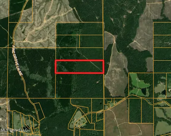 $115,000 | 47 Mose Hilliard Road, Sontag, MS 39665