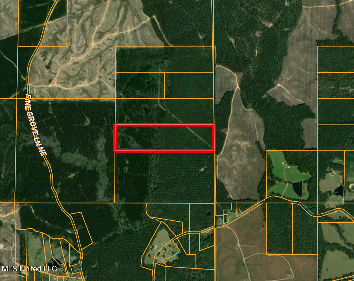 47 Mose Hilliard Road Sontag, MS 39665 - Photo 24 of 28 IMG_2122