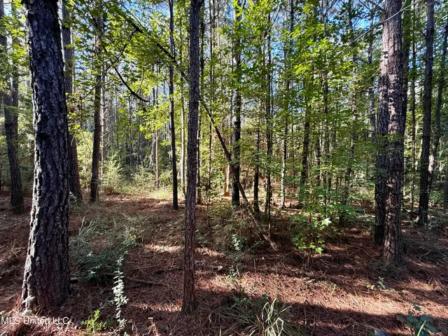 $119,500 | 47 Mose Hilliard Road, Sontag, MS 39665