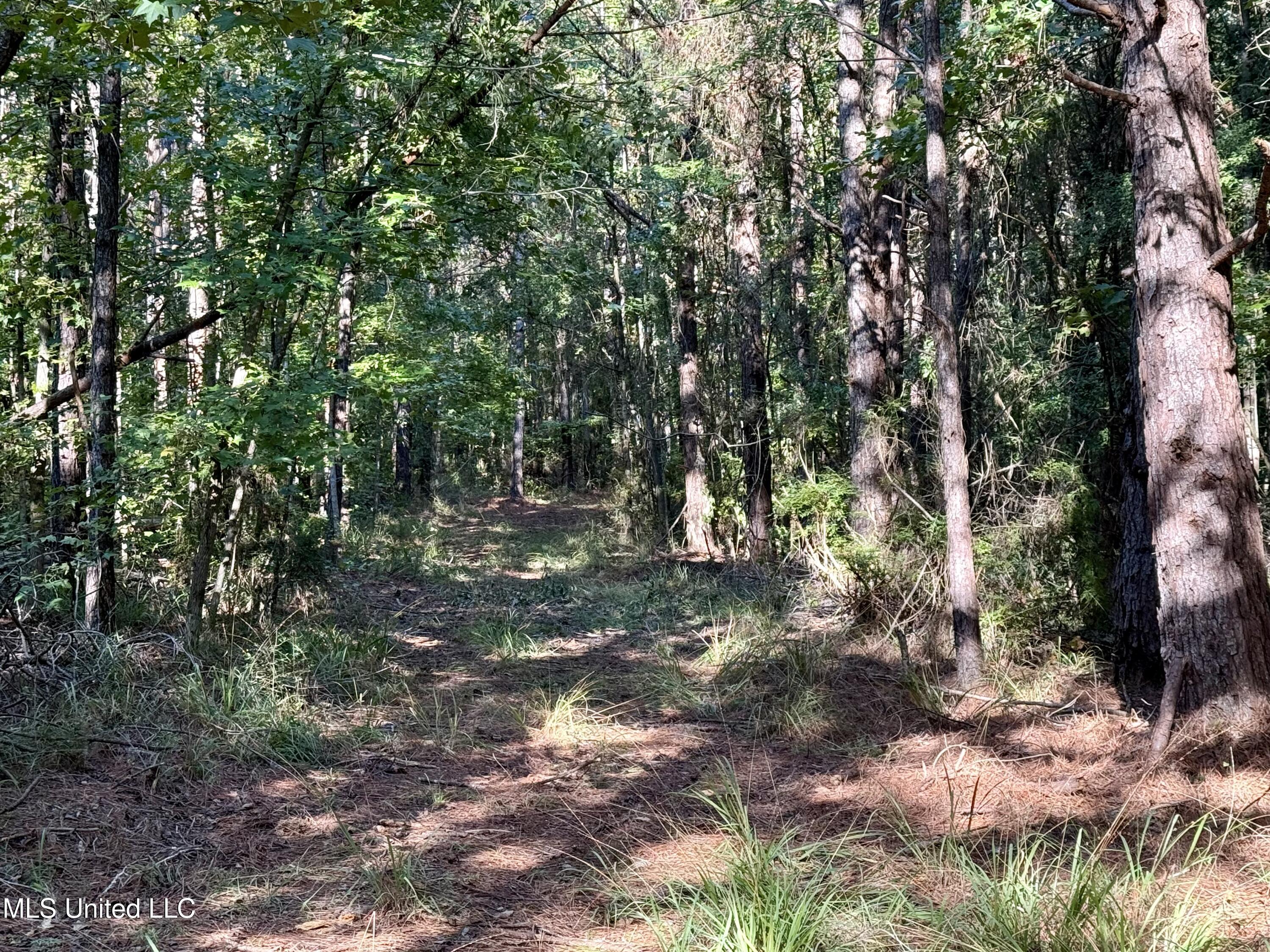 47 Mose Hilliard Road Sontag, MS 39665 - Photo 4 of 28 IMG_2085