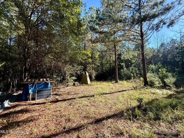 $119,500 | 47 Mose Hilliard Road, Sontag, MS 39665