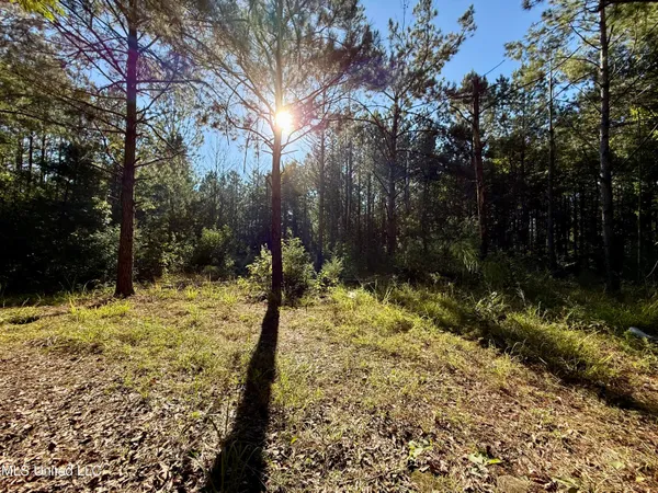 $115,000 | 47 Mose Hilliard Road, Sontag, MS 39665