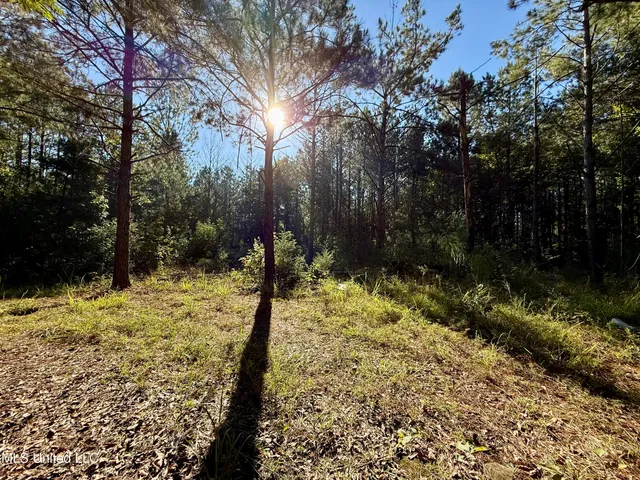 $119,500 | 47 Mose Hilliard Road, Sontag, MS 39665