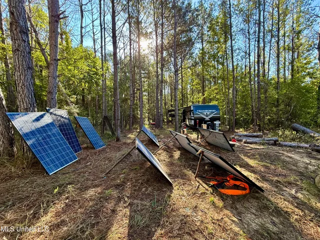 $119,500 | 47 Mose Hilliard Road, Sontag, MS 39665