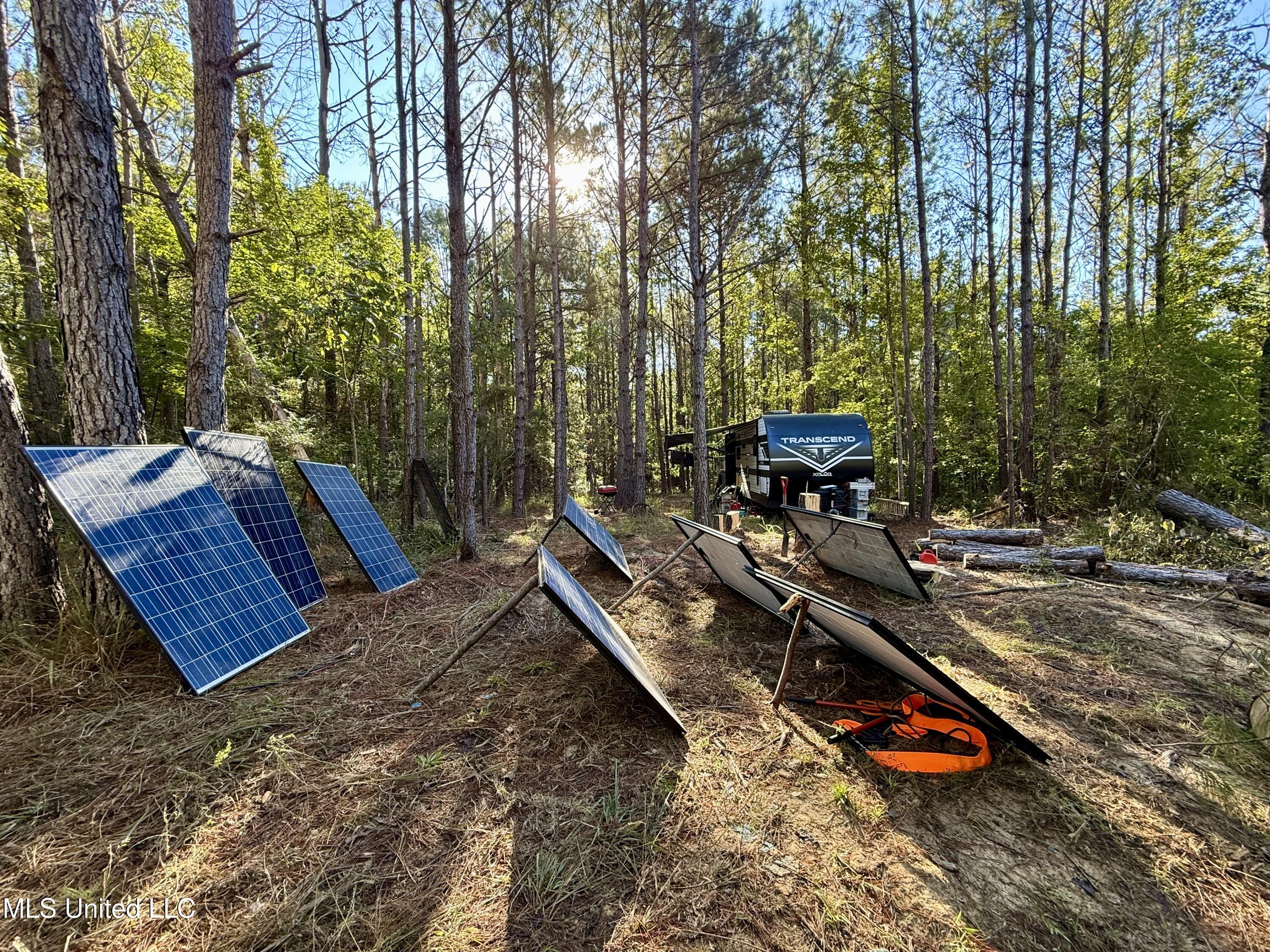 47 Mose Hilliard Road Sontag, MS 39665 - Photo 7 of 28 IMG_2088