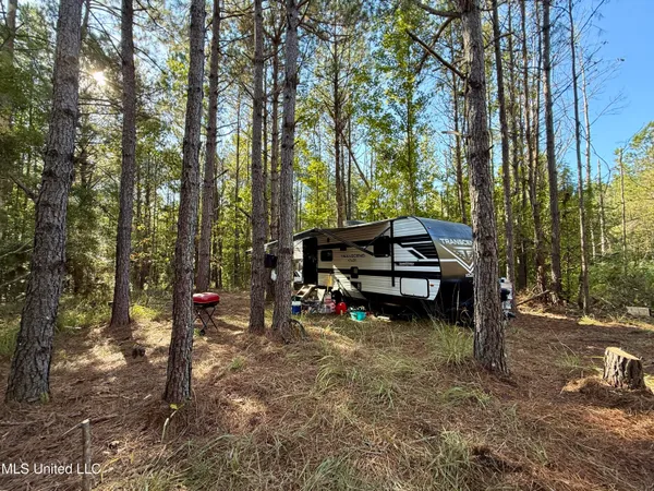$115,000 | 47 Mose Hilliard Road, Sontag, MS 39665