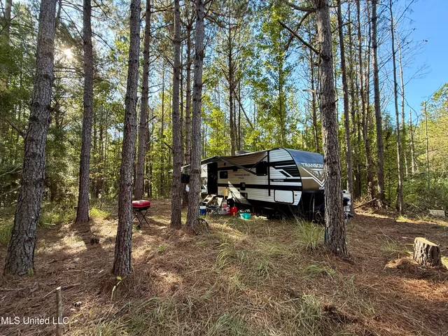 $119,500 | 47 Mose Hilliard Road, Sontag, MS 39665