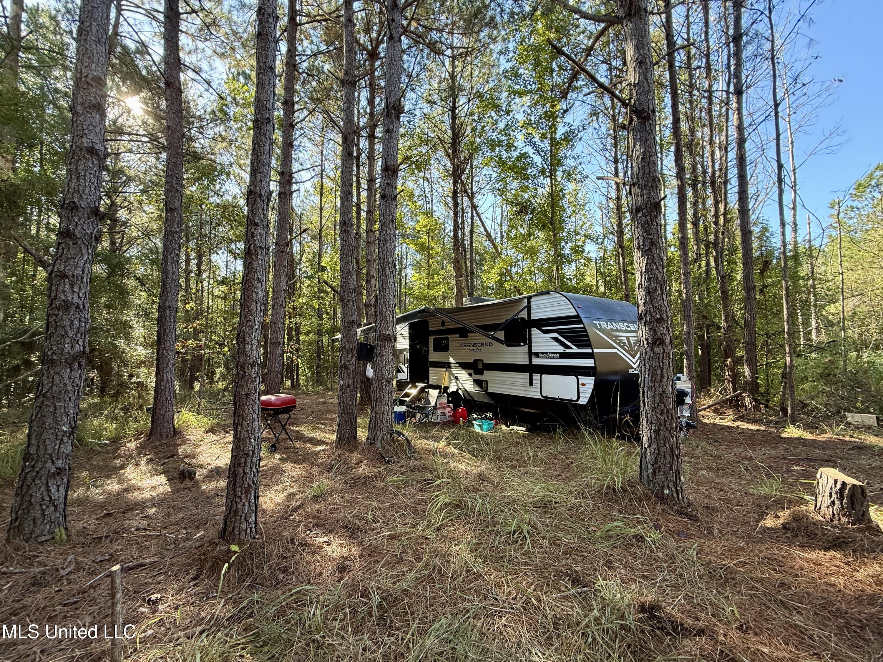 47 Mose Hilliard Road Sontag, MS 39665 - Photo 8 of 28 IMG_2090