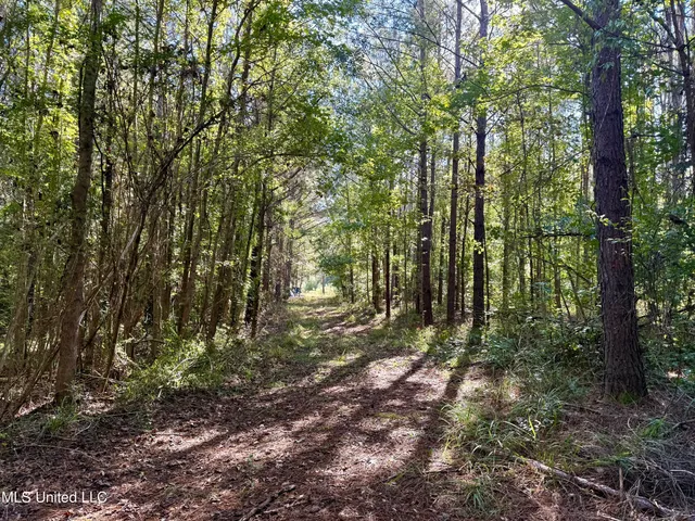 $119,500 | 47 Mose Hilliard Road, Sontag, MS 39665