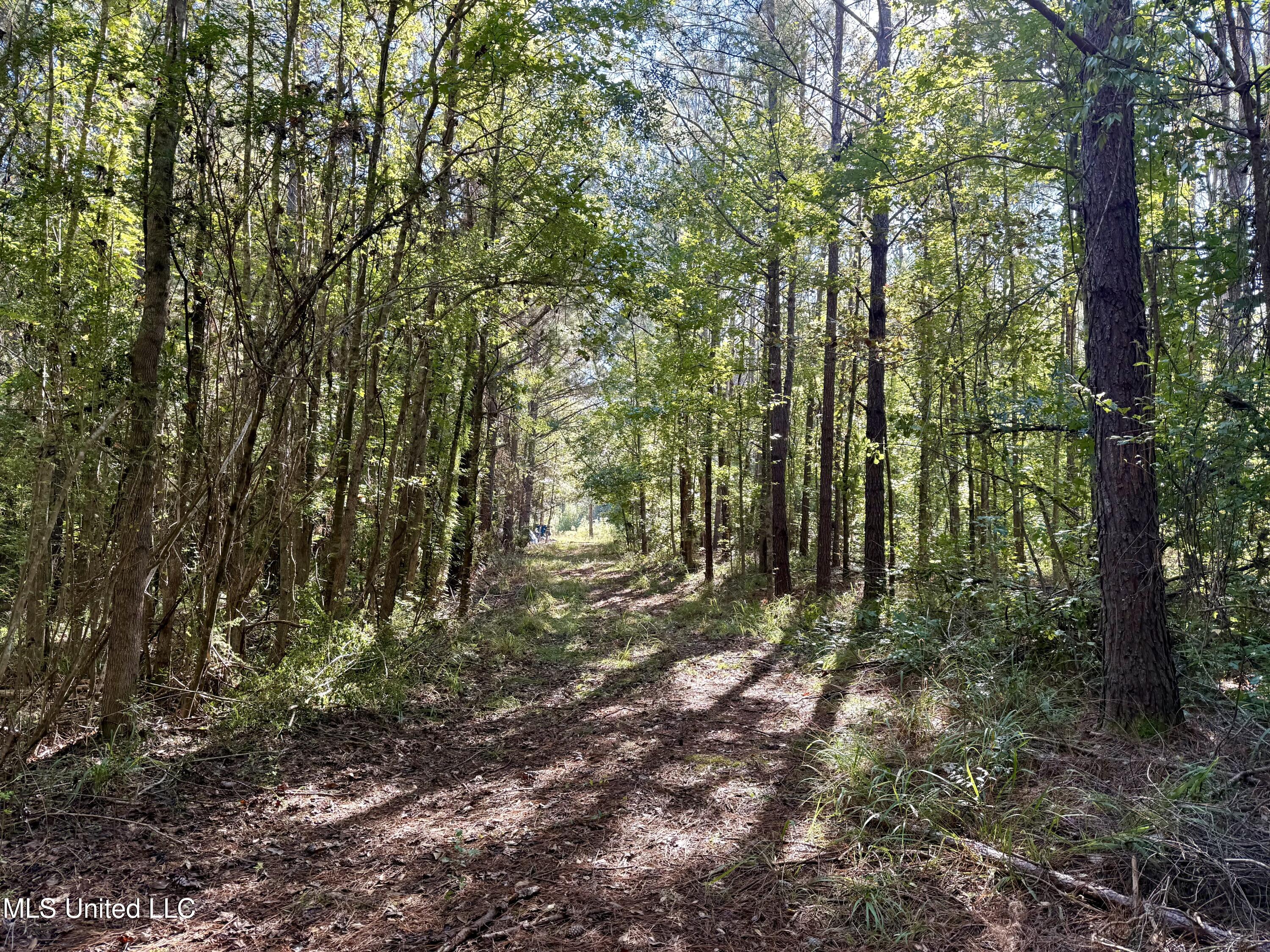 47 Mose Hilliard Road Sontag, MS 39665 - Photo 9 of 28 IMG_2093