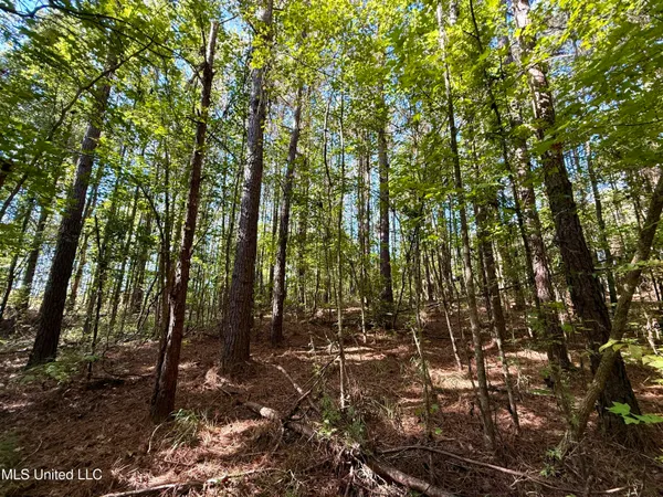 $115,000 | 47 Mose Hilliard Road, Sontag, MS 39665