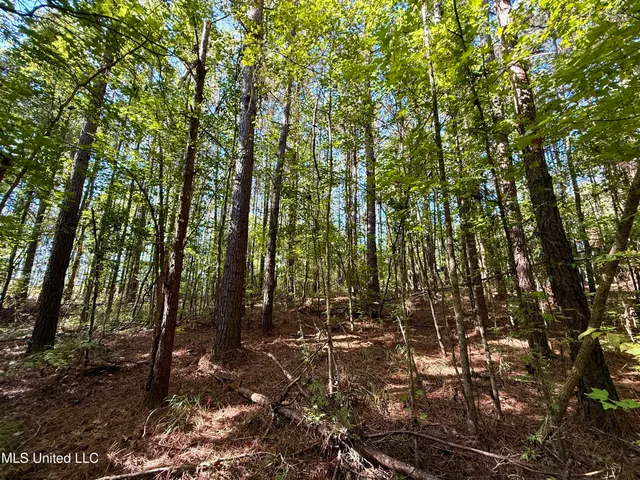 $119,500 | 47 Mose Hilliard Road, Sontag, MS 39665