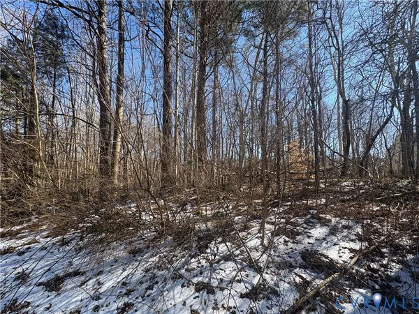 a view of a yard with trees