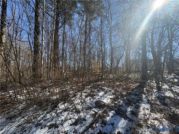 a view of a forest with trees