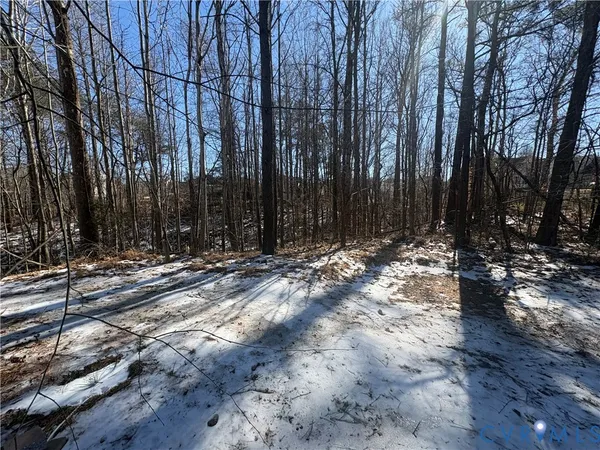 a view of outdoor space with trees