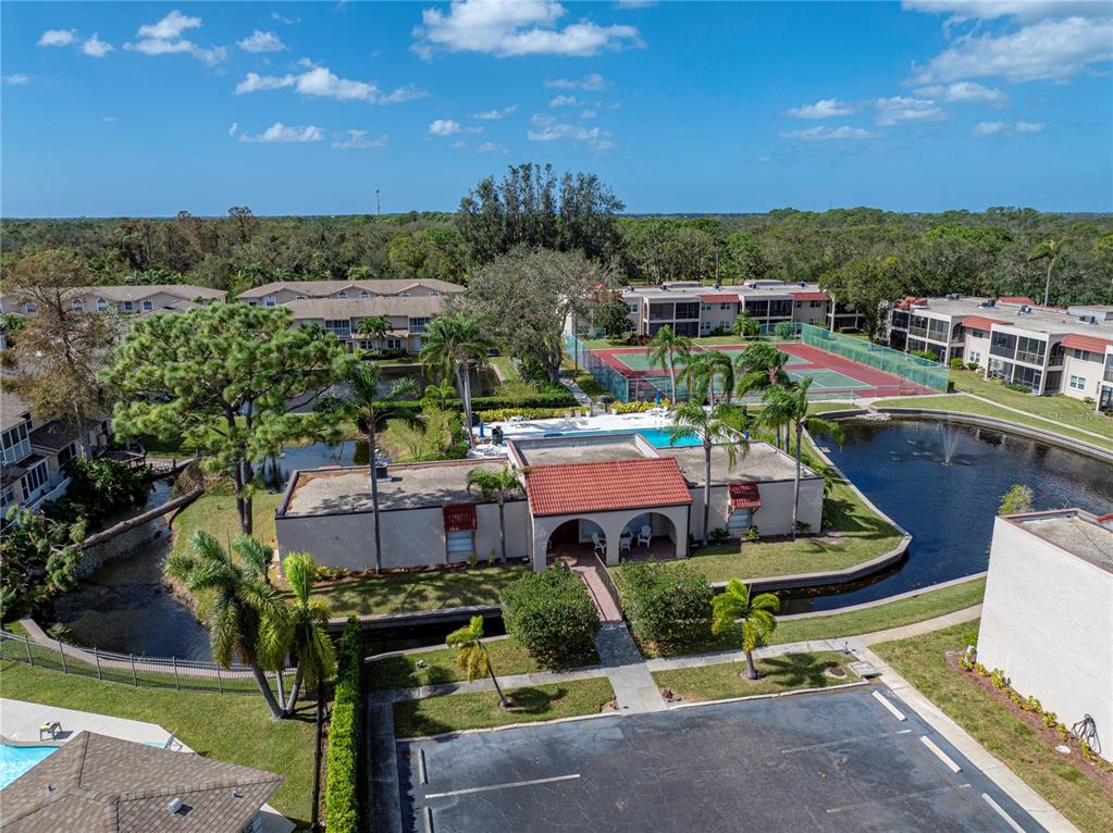 9700 Starkey Road, Unit 312 Seminole, FL 33777 - Photo 34 of 44