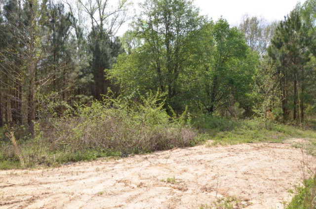 5690 New Hope Church Road Rembert, SC 29128 - Photo 1 of 1