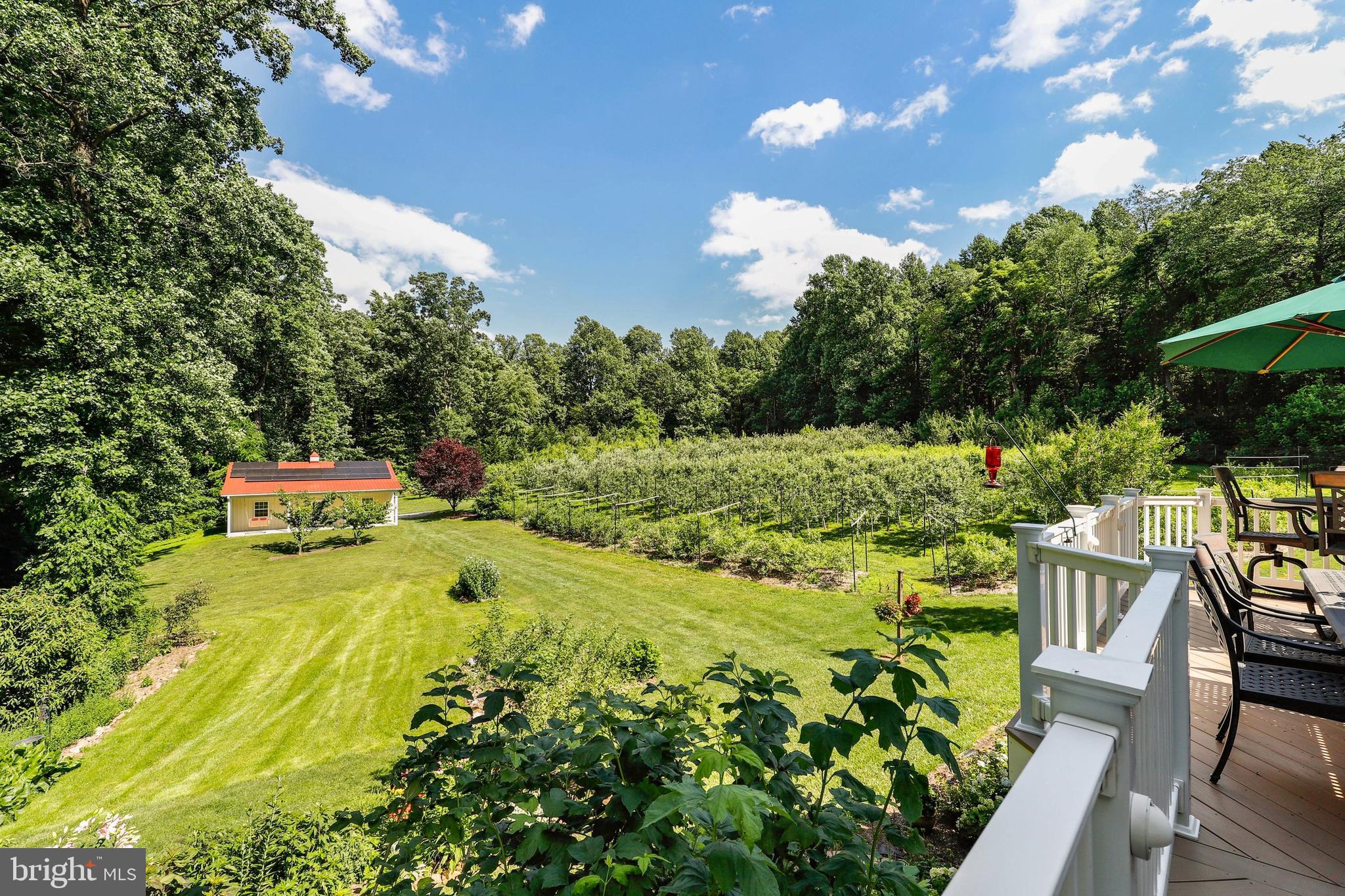 3770 Buffalo Road New Windsor, MD 21776 - Photo 51 of 65