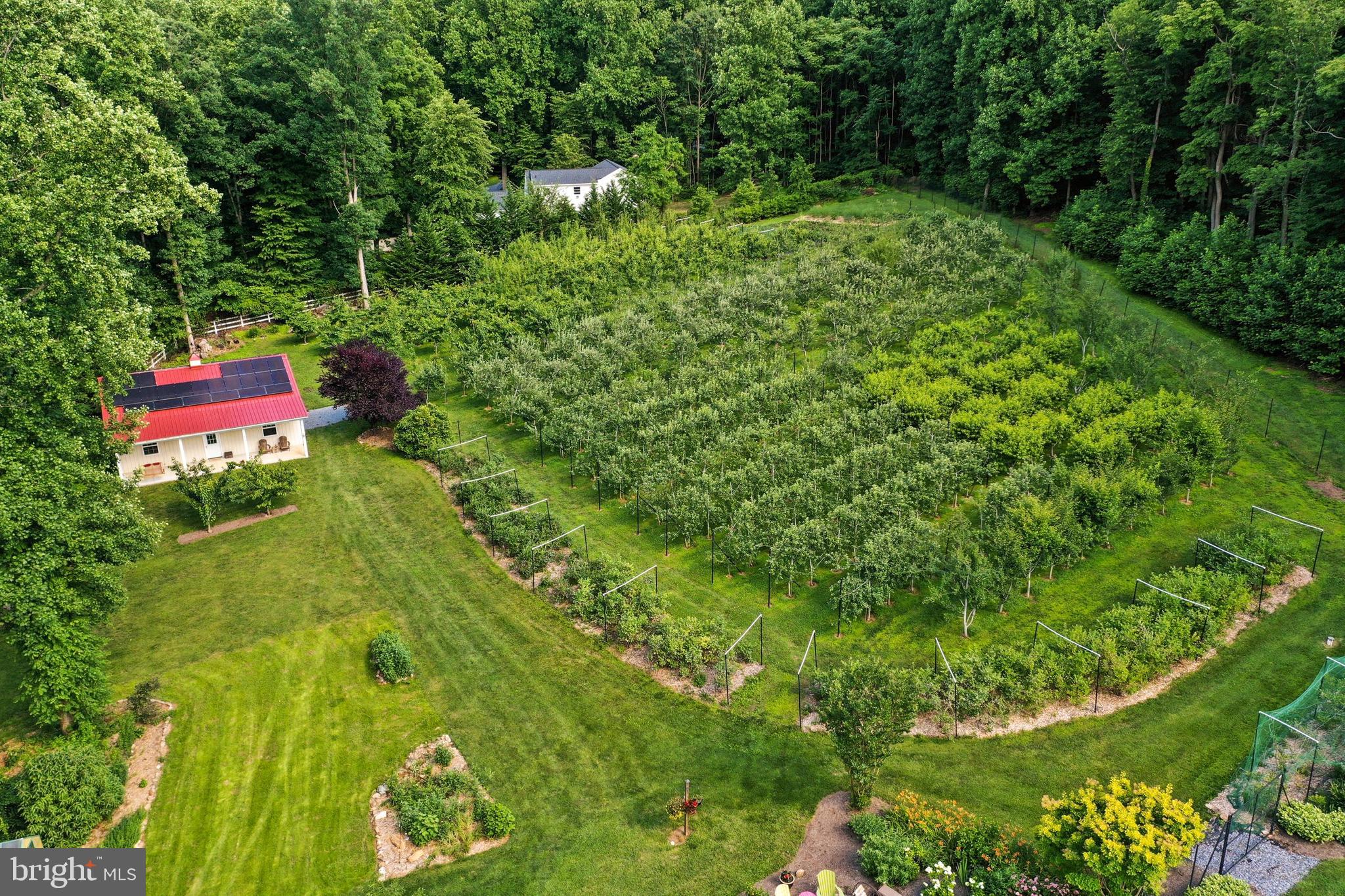 3770 Buffalo Road New Windsor, MD 21776 - Photo 57 of 65