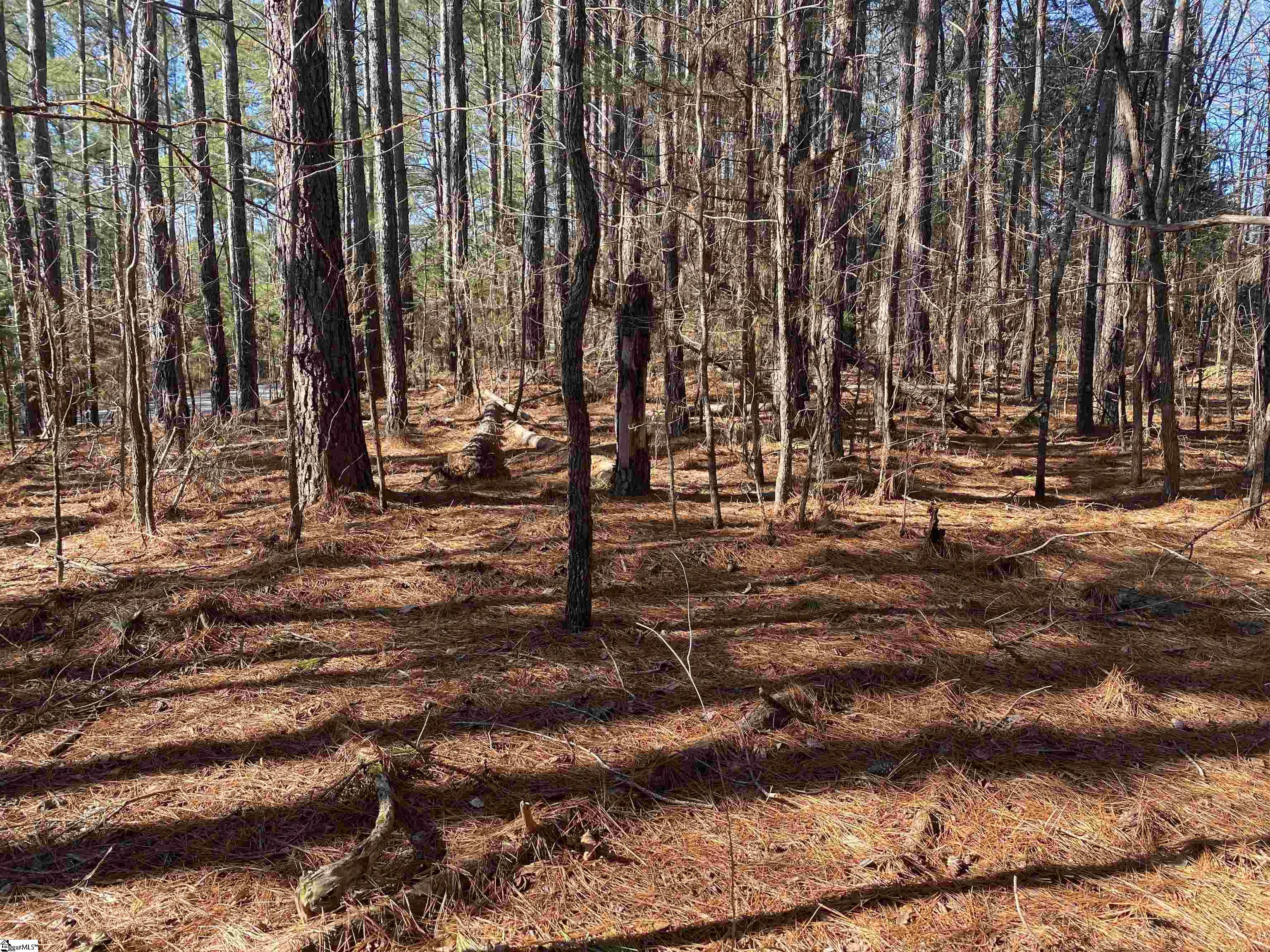 0 Tom Young Bridge Road Iva, SC 29655 - Photo 2 of 6