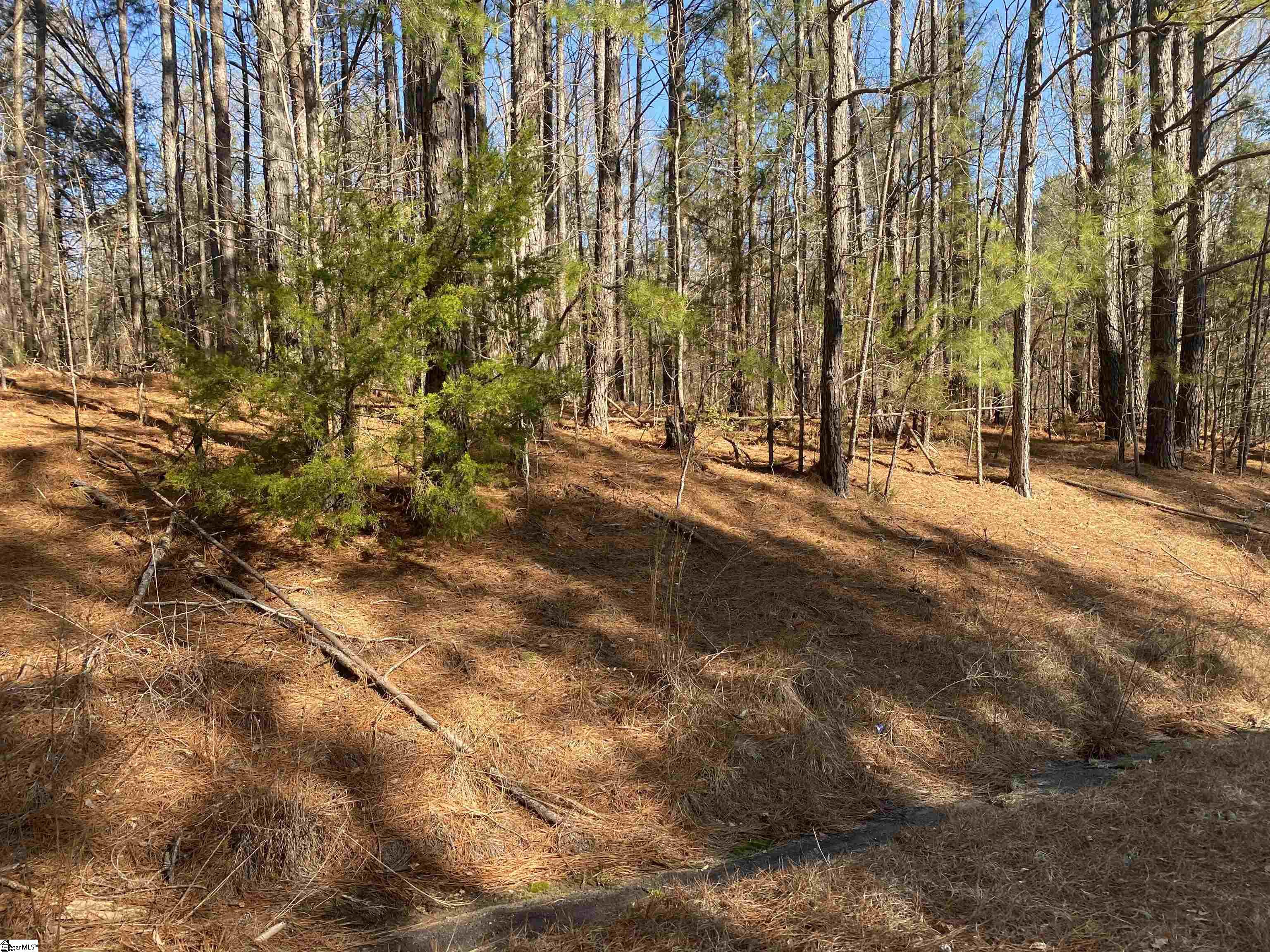 0 Tom Young Bridge Road Iva, SC 29655 - Photo 3 of 6