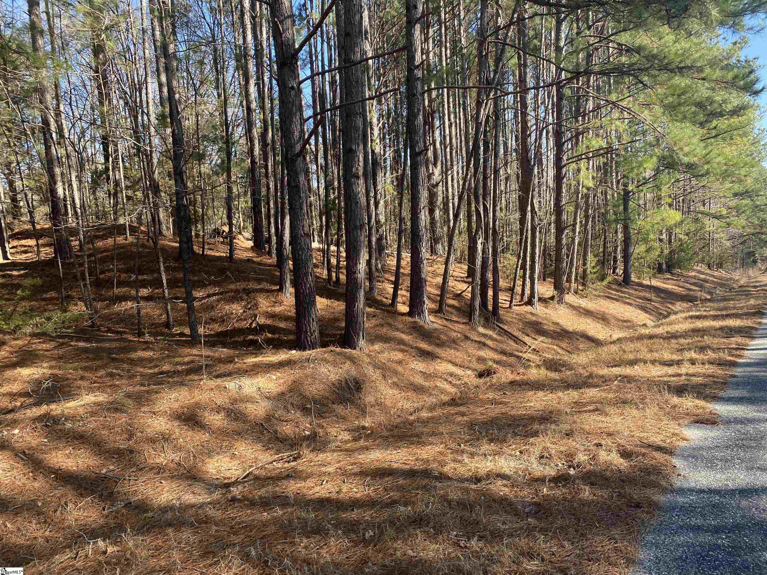 0 Tom Young Bridge Road Iva, SC 29655 - Photo 4 of 6