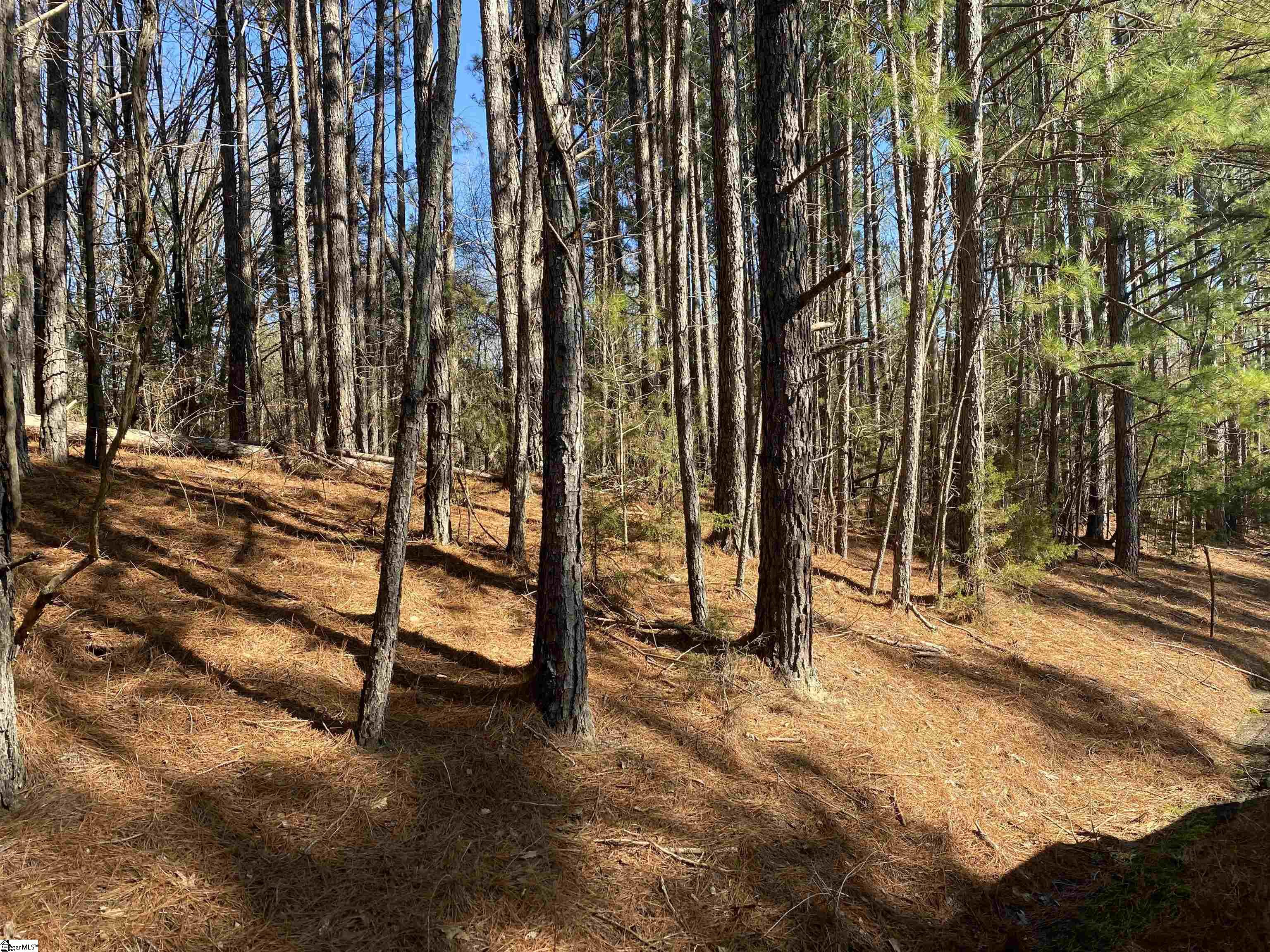 0 Tom Young Bridge Road Iva, SC 29655 - Photo 5 of 6